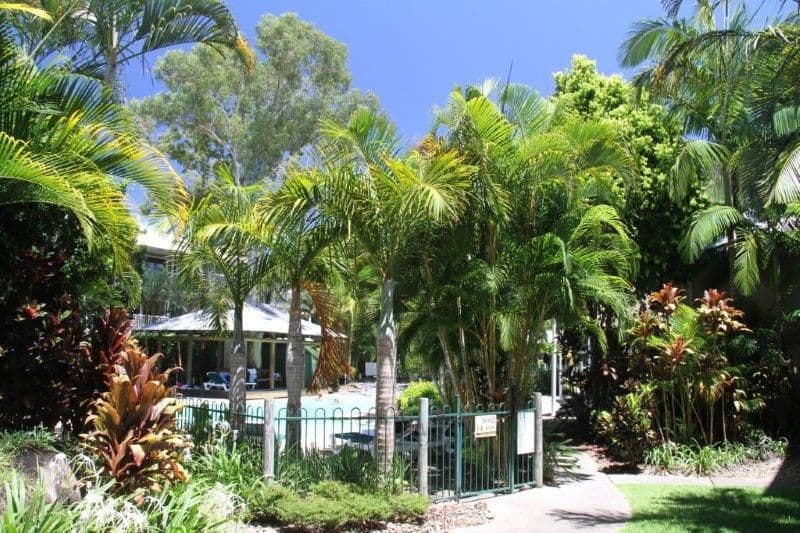 179 Weyba Road, NOOSAVILLE QLD 4566, Noosaville - Thumbnail 7