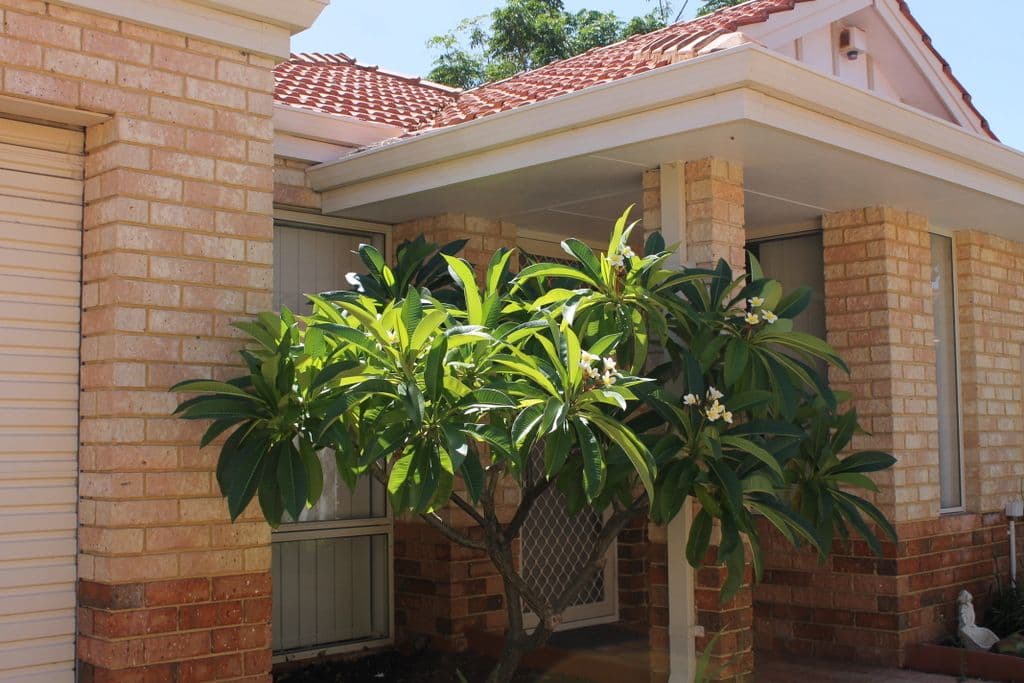 7 Shearwater, Ballajura WA 6066, Ballajura - Thumbnail 2
