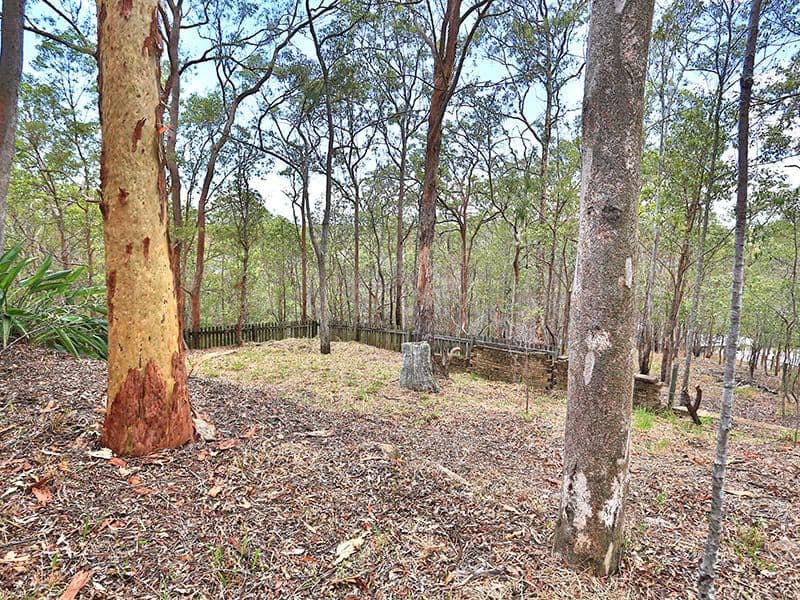 105 Hutton Road, Ferny Hills QLD 4055, Ferny Hills - Thumbnail 8