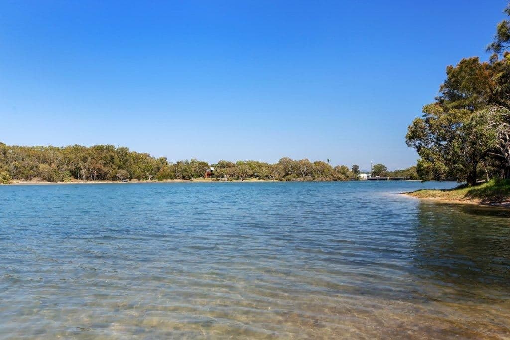 49 Bareki Street, WURTULLA QLD 4575, Wurtulla - Thumbnail 3