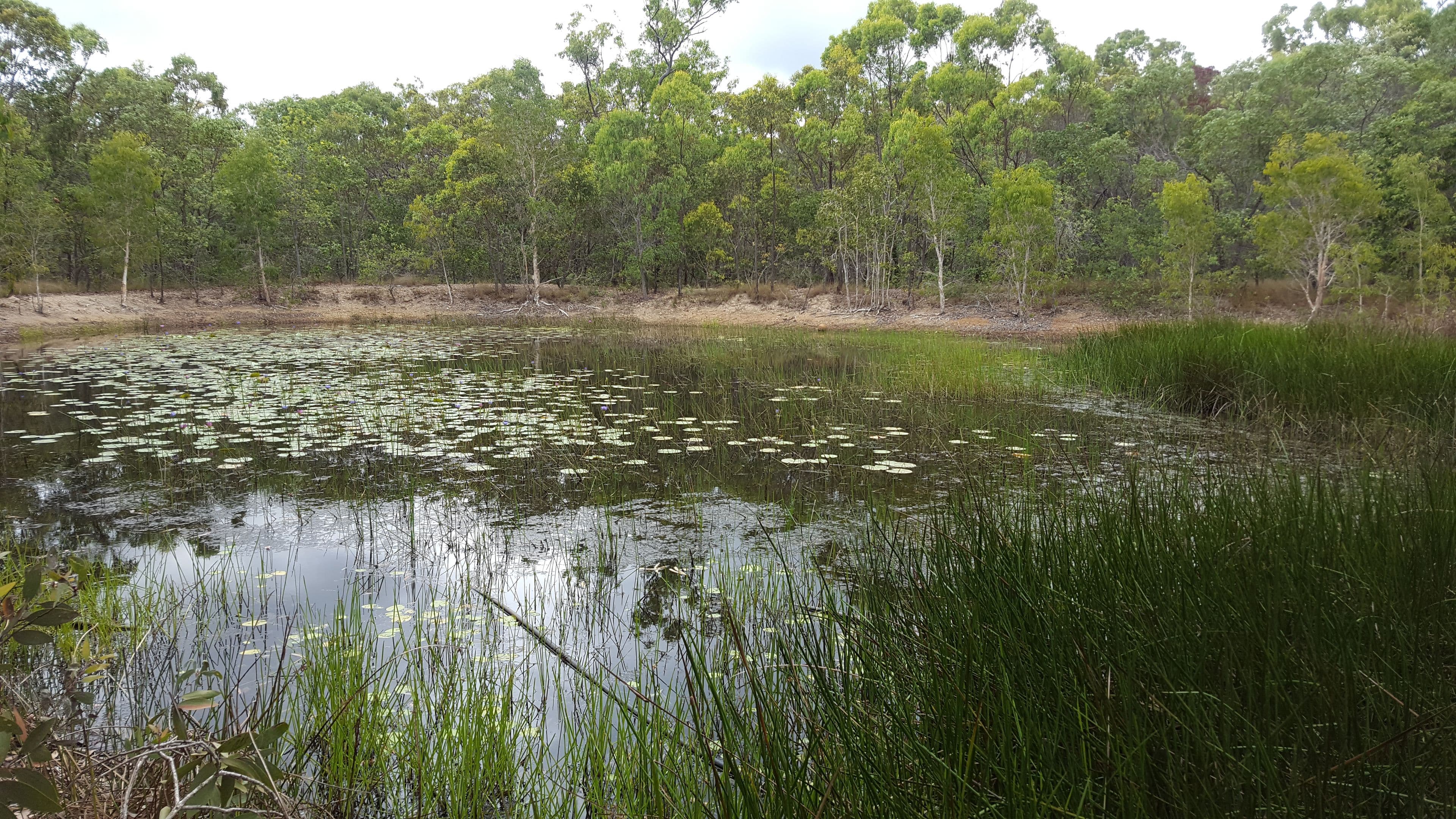 438 Cape Palmerston, Ilbilbie QLD 4738, Ilbilbie - Thumbnail 7