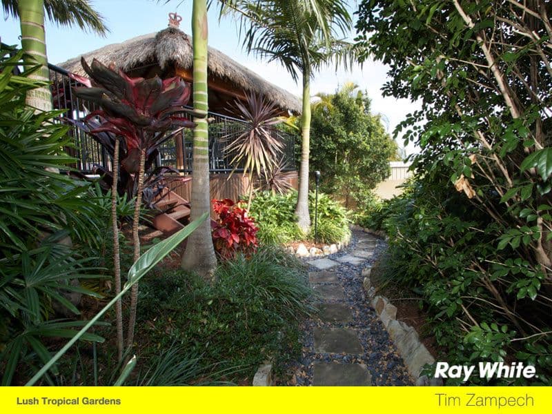 12 Orpington Court, ARUNDEL QLD 4214, Arundel - Thumbnail 6