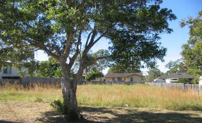 49. Albert Street, South Kempsey NSW 2440, South Kempsey - Image 1
