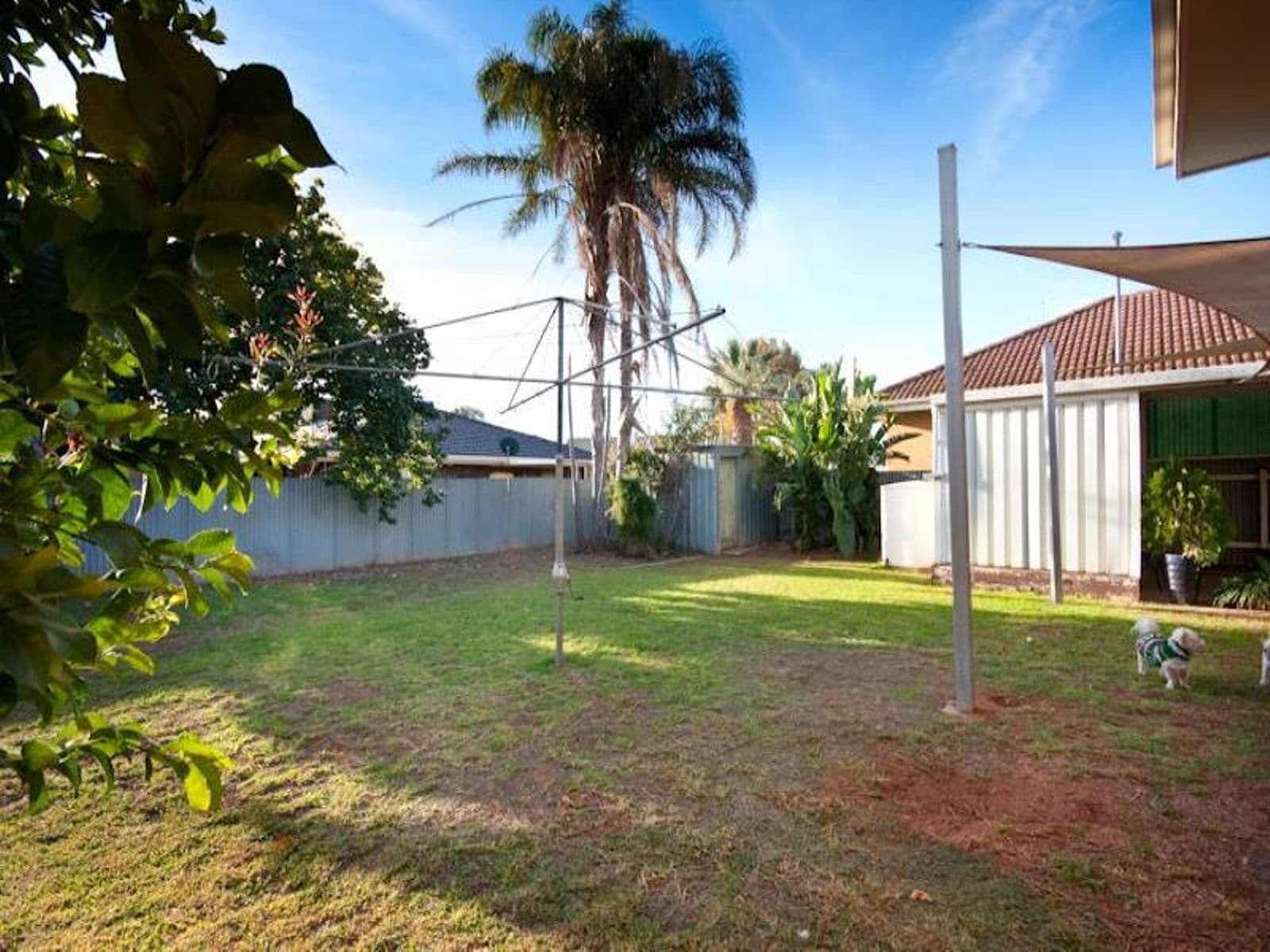 117 Ontario Avenue, Mildura - Thumbnail 7