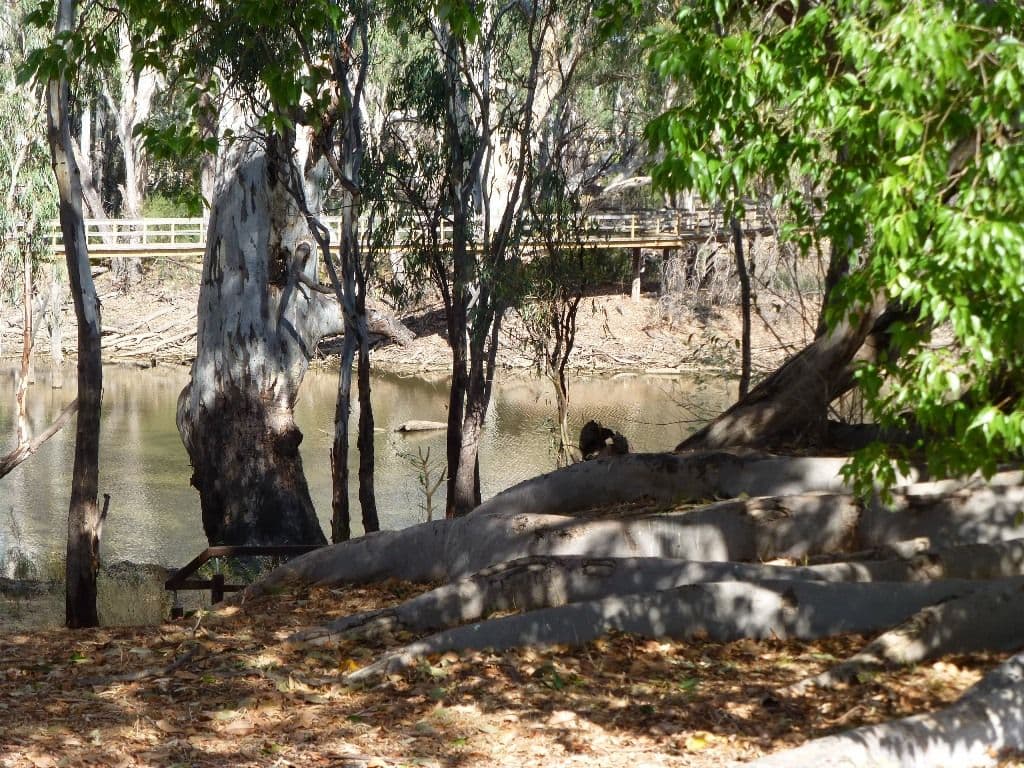 6 Berry Street, MOAMA NSW 2731, Moama - Thumbnail 2