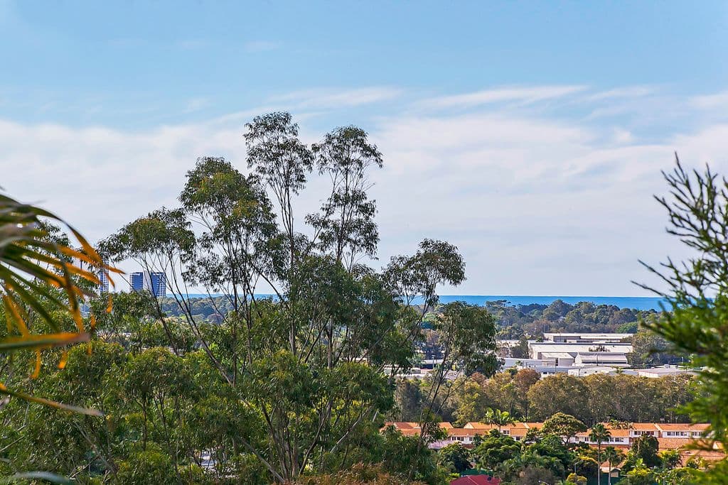 42 Hoffschildt Drive, Currumbin Waters QLD 4223, Currumbin Waters - Thumbnail 2