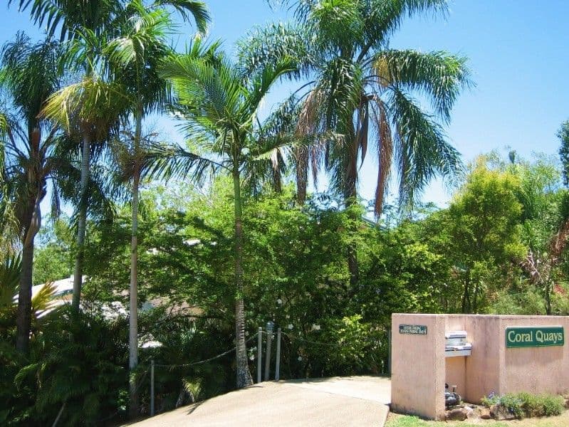5 Eshelby Drive, CANNONVALE QLD 4802, Cannonvale - Thumbnail 3