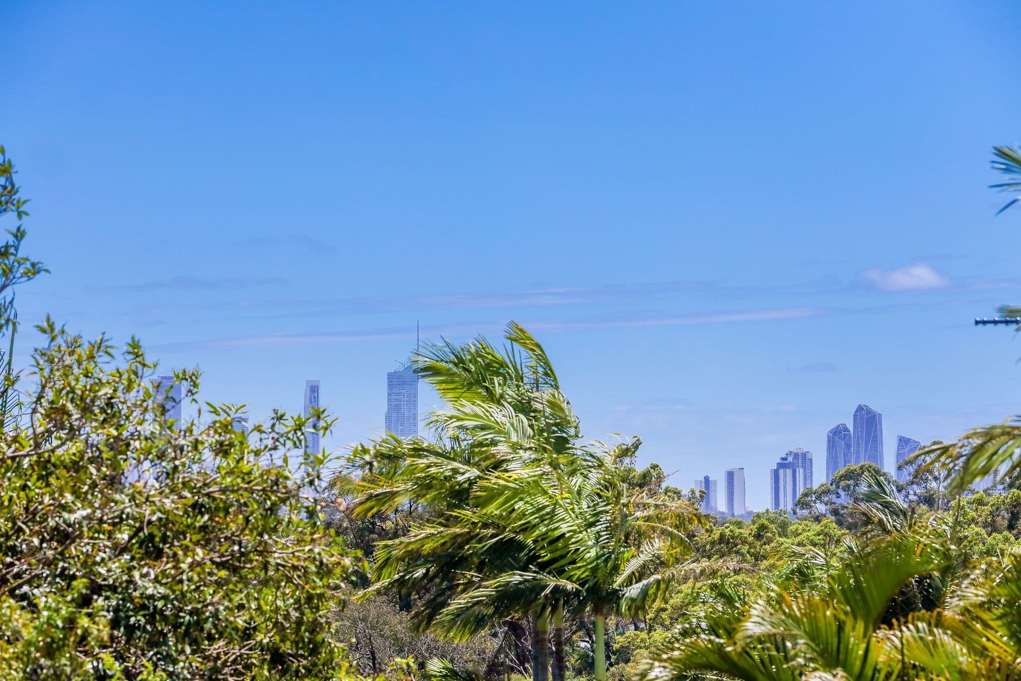 107 Glen Eagles Drive, Robina QLD 4226, Robina - Thumbnail 2