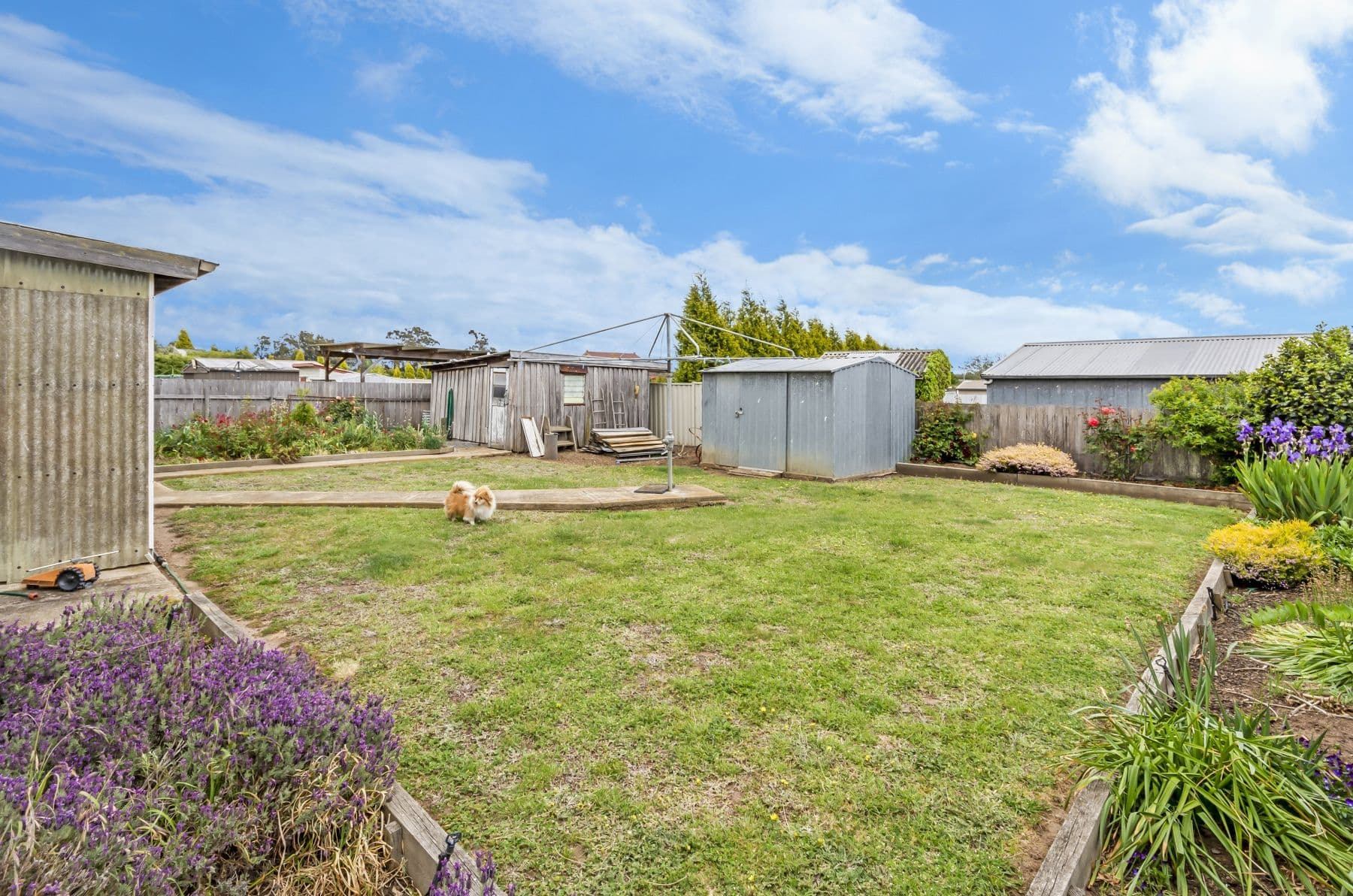25 Cressy Road, Longford TAS 7301, Longford - Thumbnail 8
