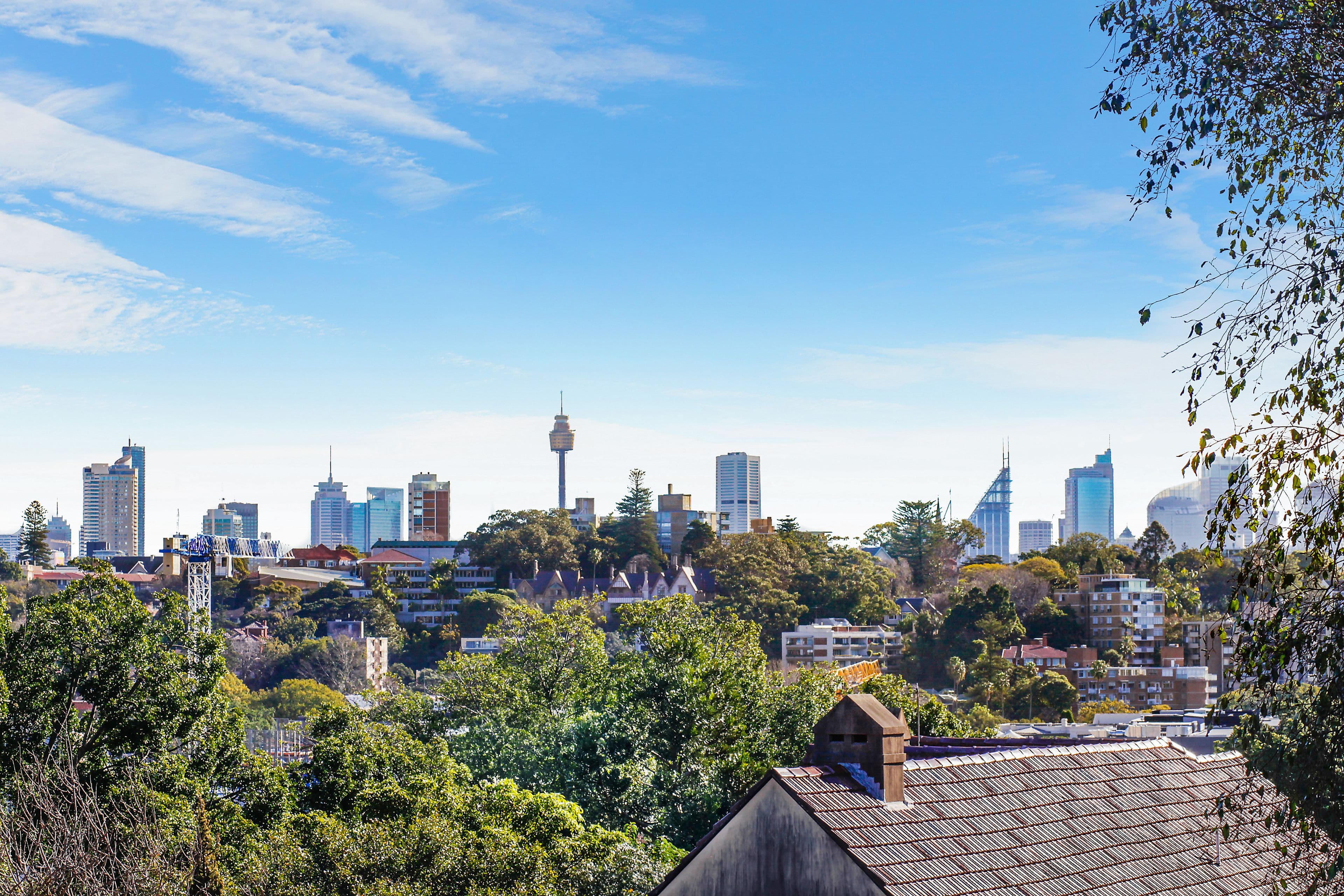 3 Fairfax Road, Bellevue Hill NSW 2023, Bellevue Hill - Thumbnail 3