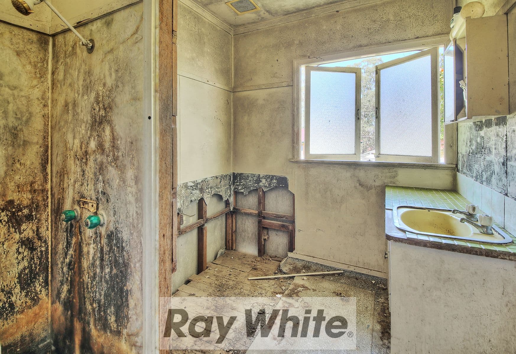 24 Thomson Avenue, Woodridge QLD 4114, Woodridge - Thumbnail 6