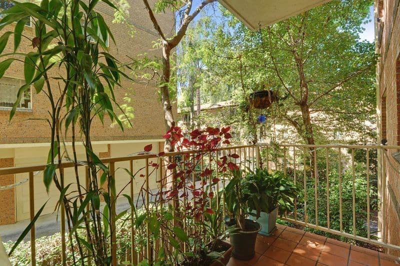 64 Albert Street, Hornsby NSW 2077, Hornsby - Thumbnail 6