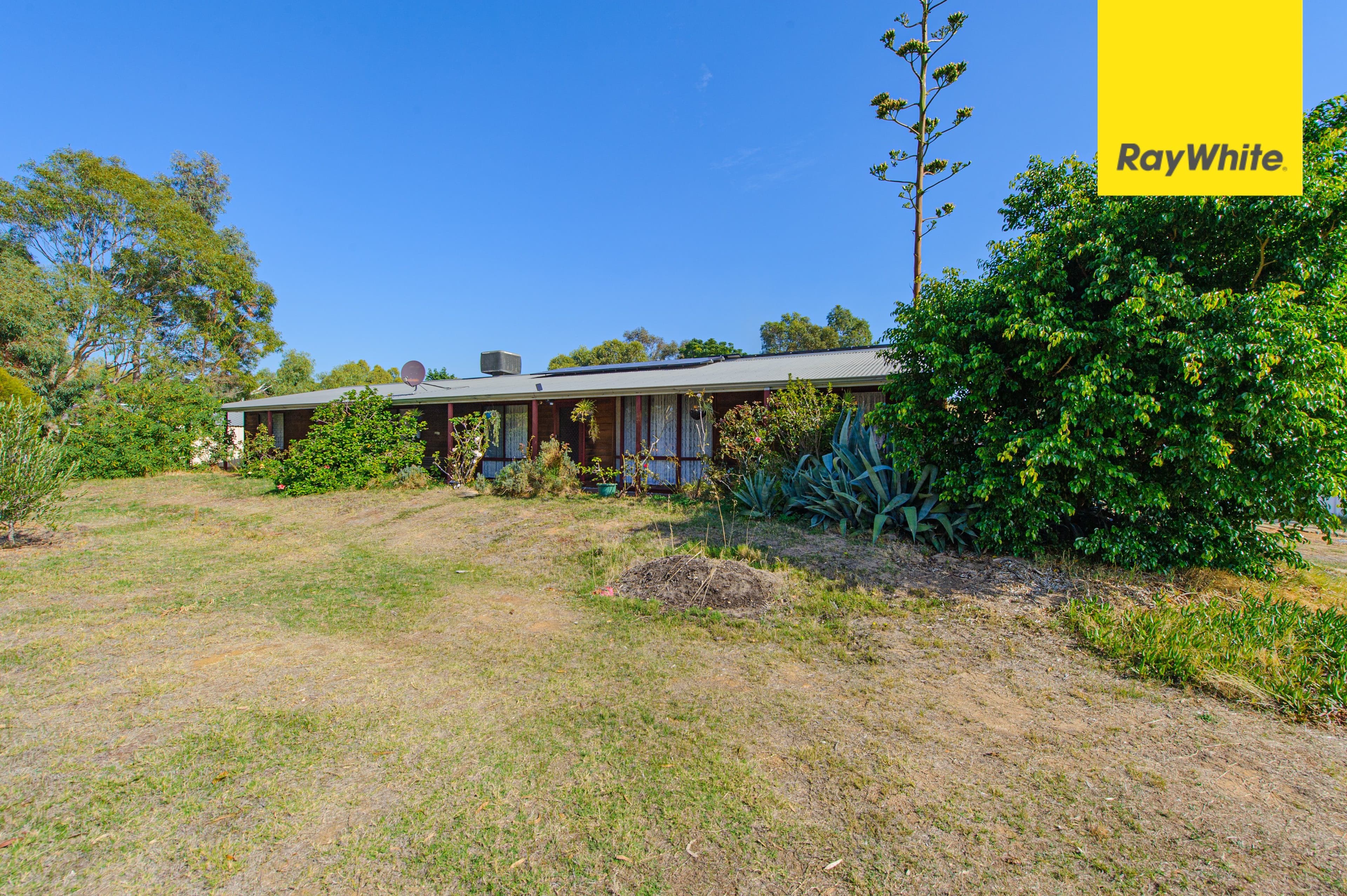 1A Little Harold Street, Bellevue WA 6056, Bellevue - Thumbnail 4
