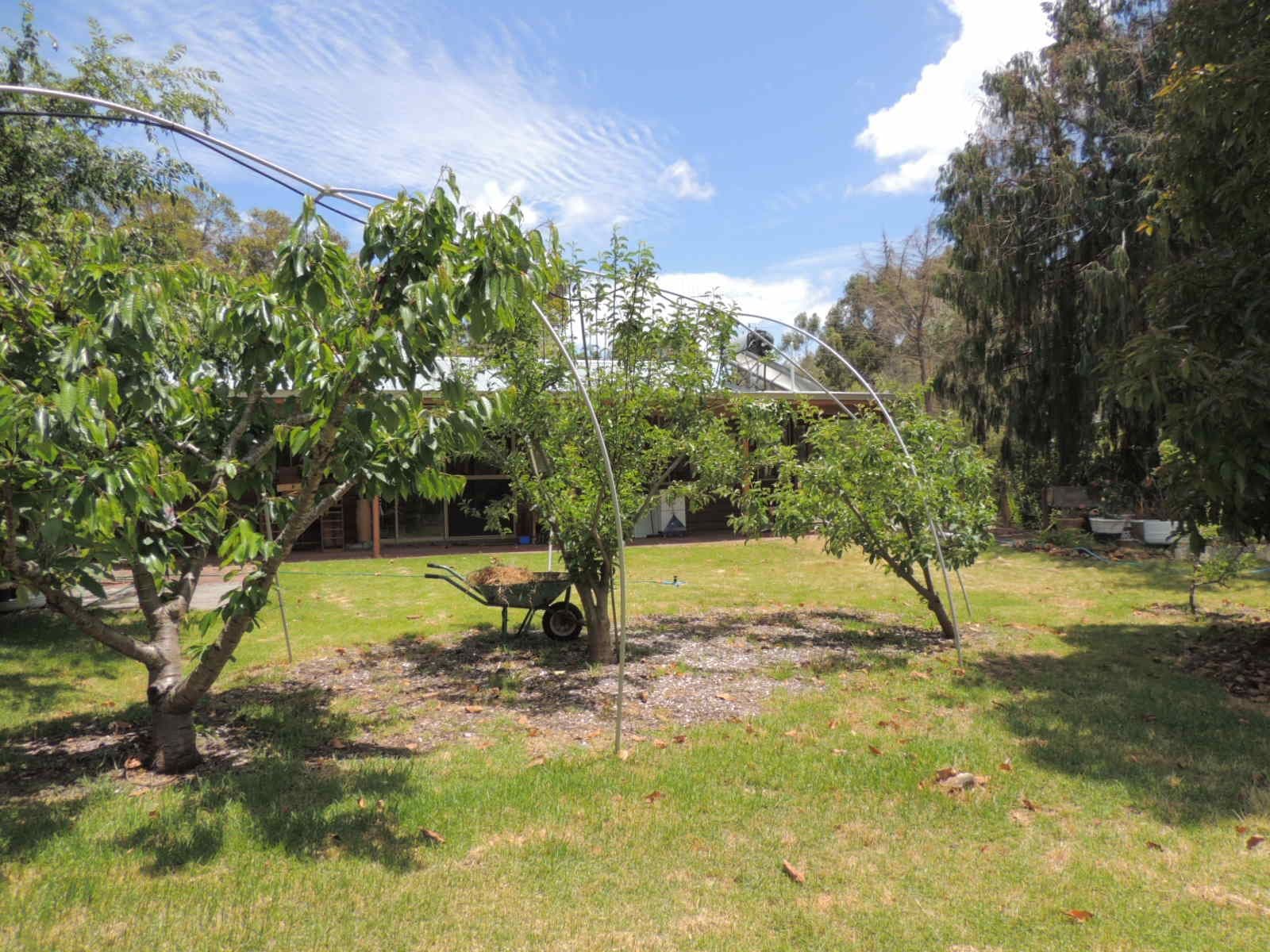 497 Ocean Beach Road, Denmark WA 6333, Denmark - Thumbnail 3