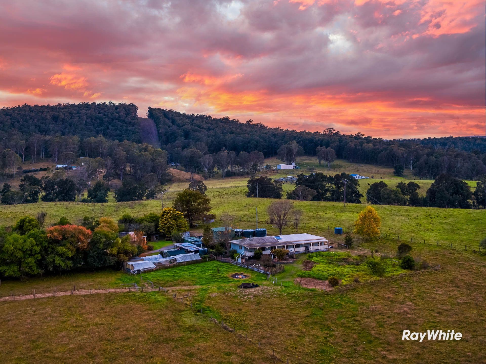 437 Larrys Mountain Road, Moruya NSW 2537, Mogendoura - Image 1