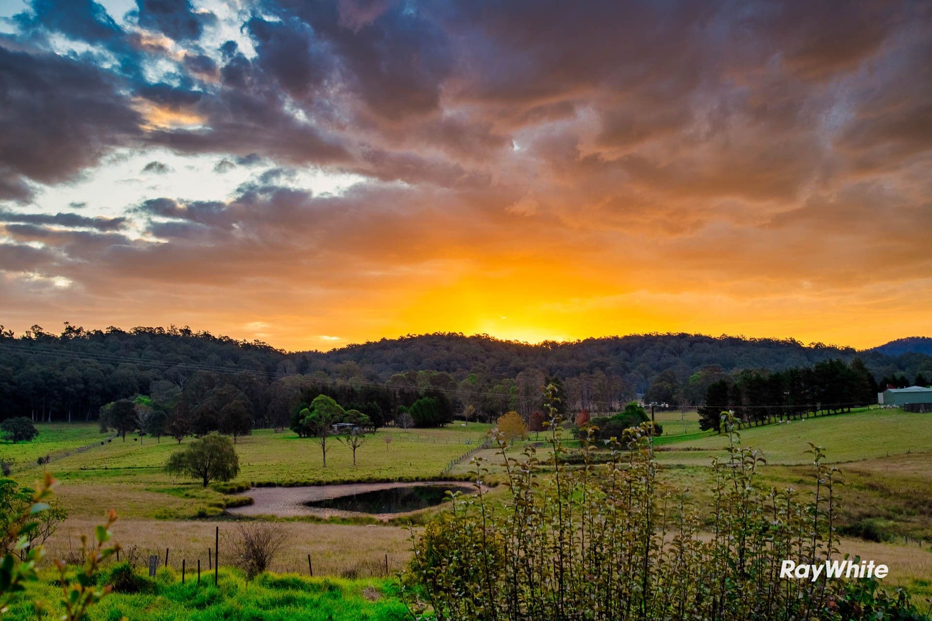 437 Larrys Mountain Road, Moruya NSW 2537, Mogendoura - Thumbnail 4