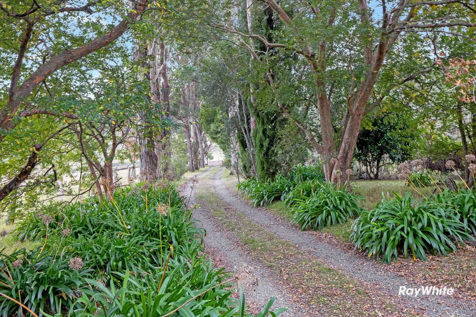 437 Larrys Mountain Road, Moruya NSW 2537, Mogendoura - Thumbnail 5