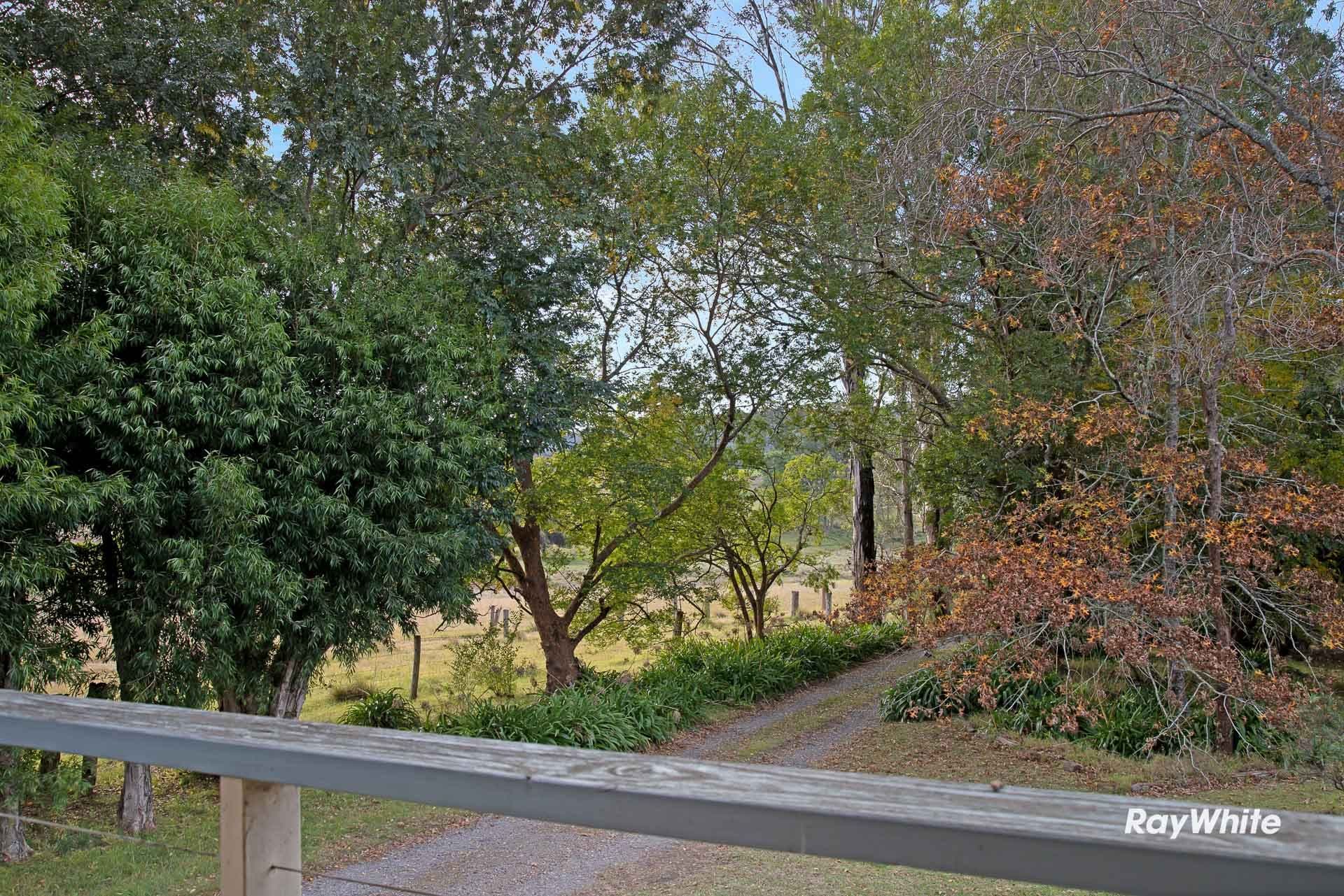 437 Larrys Mountain Road, Moruya NSW 2537, Mogendoura - Thumbnail 6