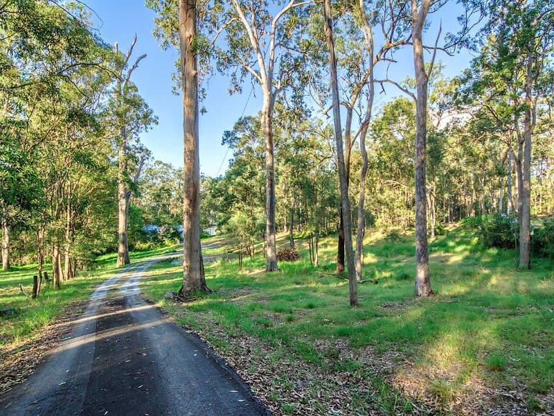17 Narrabri Court, Gaven QLD 4211, Gaven - Thumbnail 3