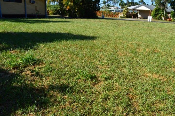 31 Holland Street, Wongaling Beach QLD 4852, Wongaling Beach - Thumbnail 7