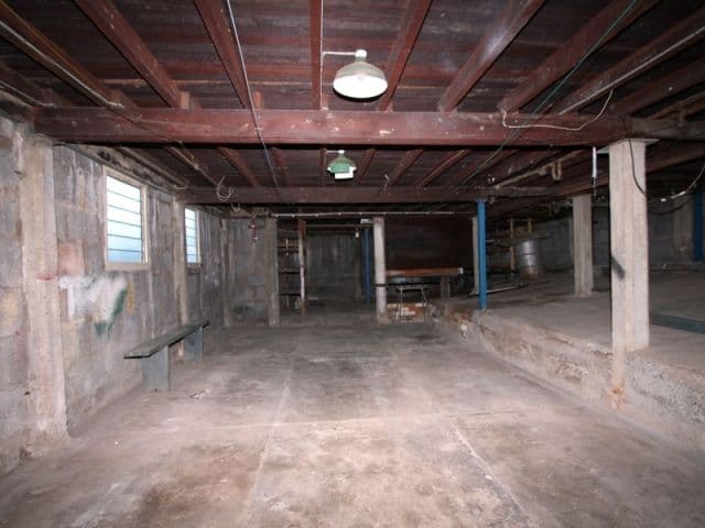 22 Iveagh Avenue, HOLLAND PARK WEST QLD 4121, Holland Park West - Thumbnail 8