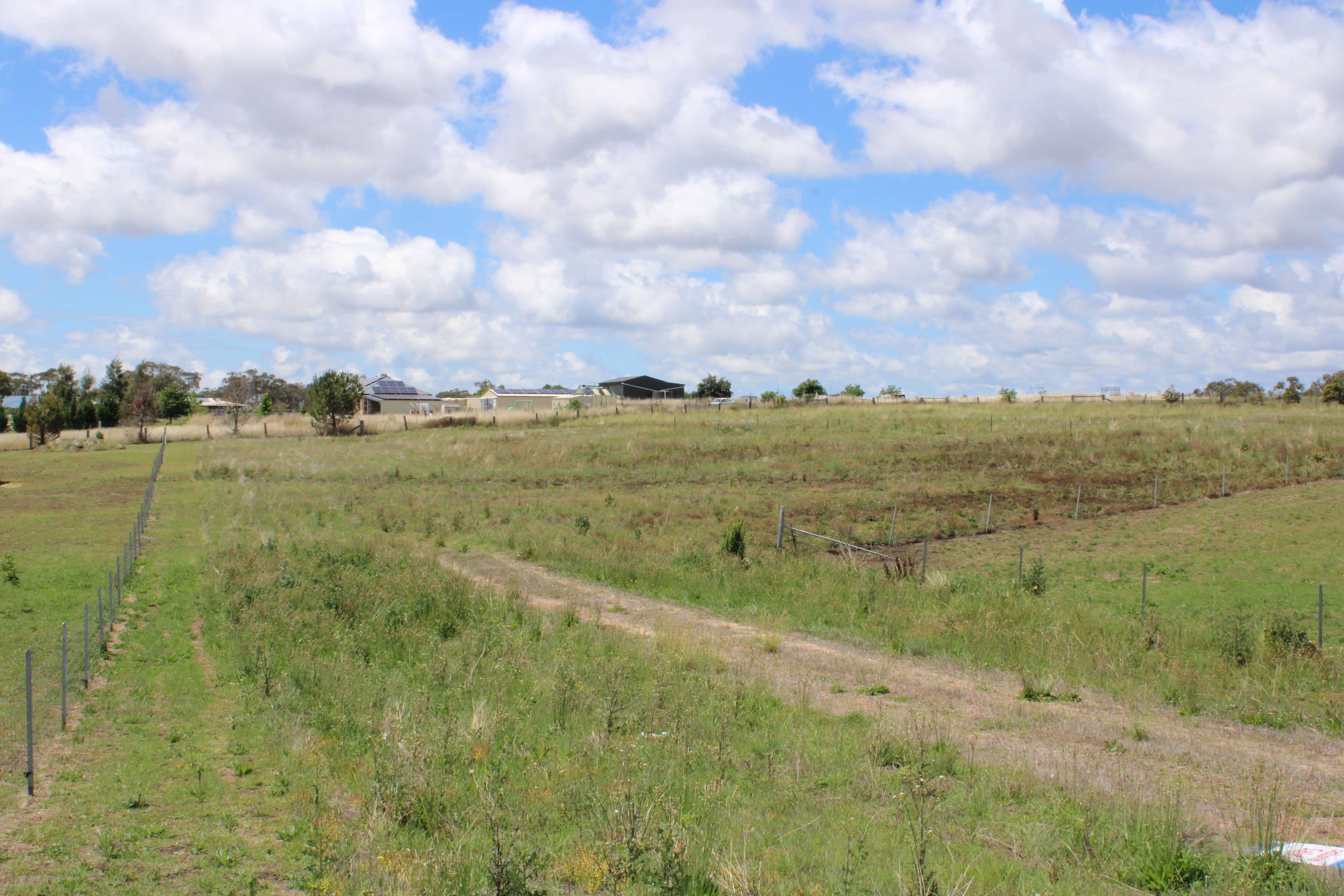 14 Talbragar Close, Inverell NSW 2360, Inverell - Thumbnail 4