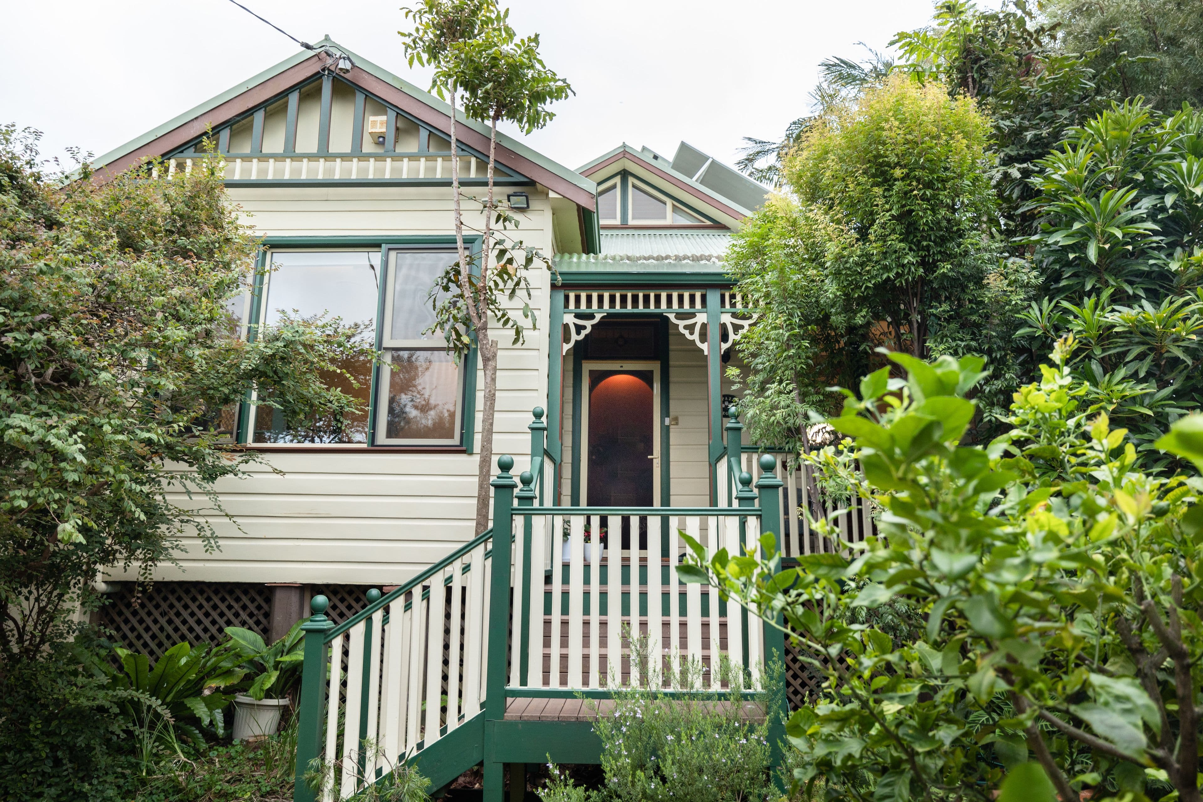 24 Shelton Street, Charlestown NSW 2290, Charlestown - Image 1