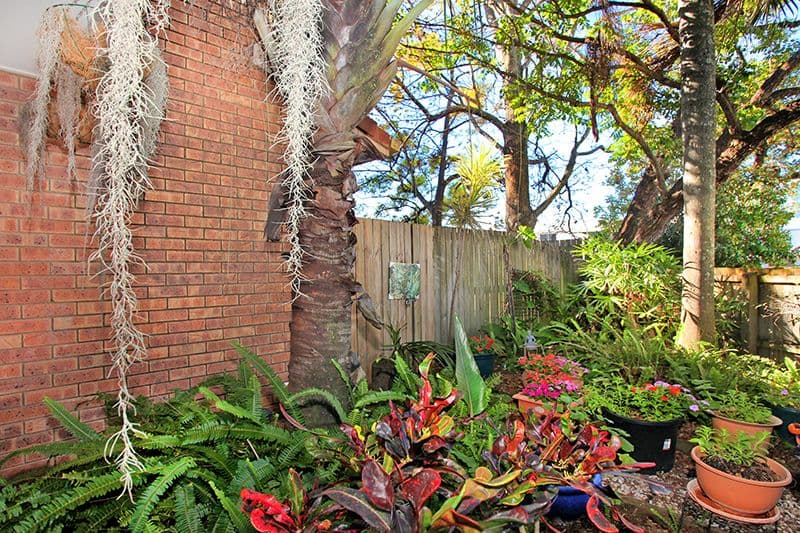 10 Mungar Street, Maroochydore QLD 4558, Maroochydore - Thumbnail 2