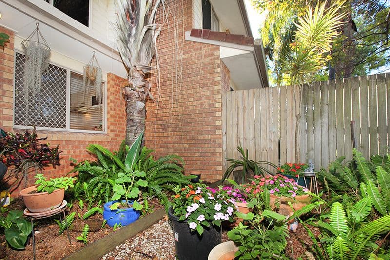 10 Mungar Street, Maroochydore QLD 4558, Maroochydore - Thumbnail 3