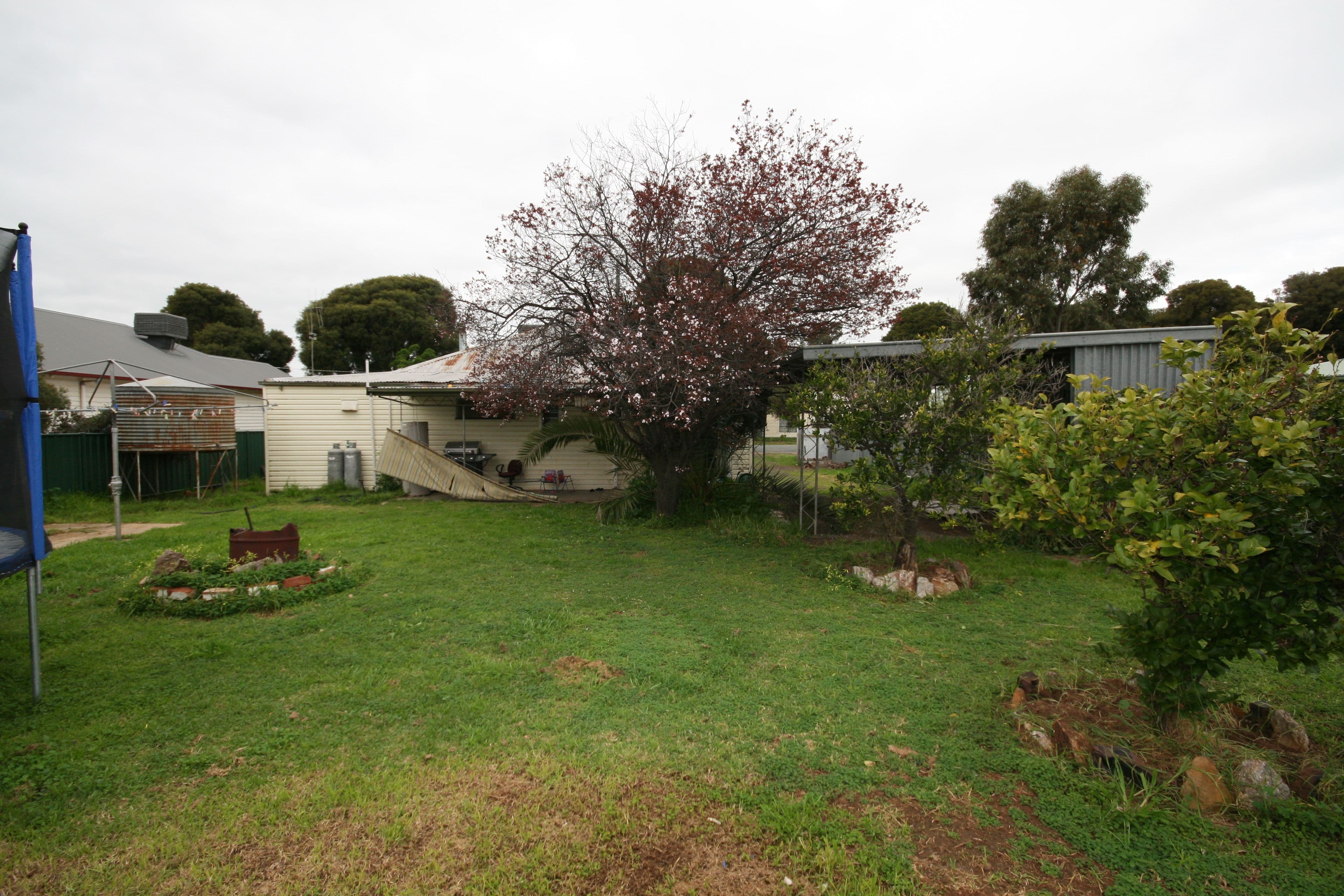 12 Wills Street, Lockington VIC 3563, Lockington - Thumbnail 3