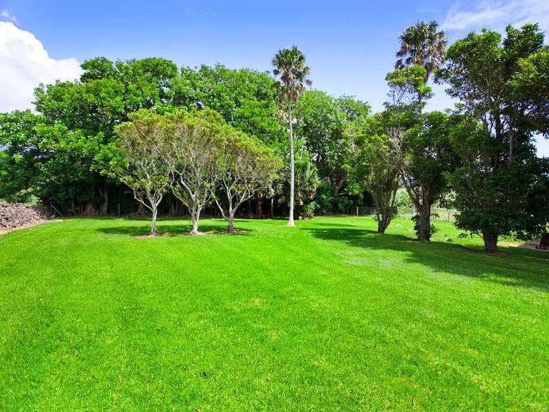 199 Long Brush Road, KIAMA NSW 2533, Kiama - Thumbnail 5