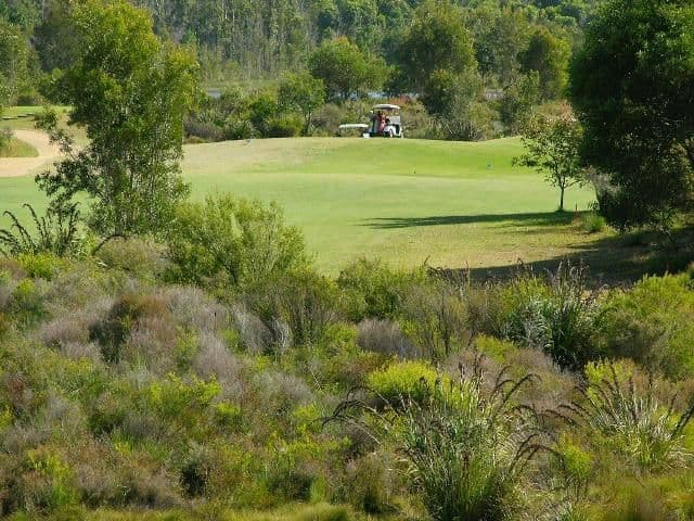 Unit 26 'Vardon Point' 1 Millennium Circuit, PELICAN WATERS QLD 4551, Pelican Waters - Thumbnail 7