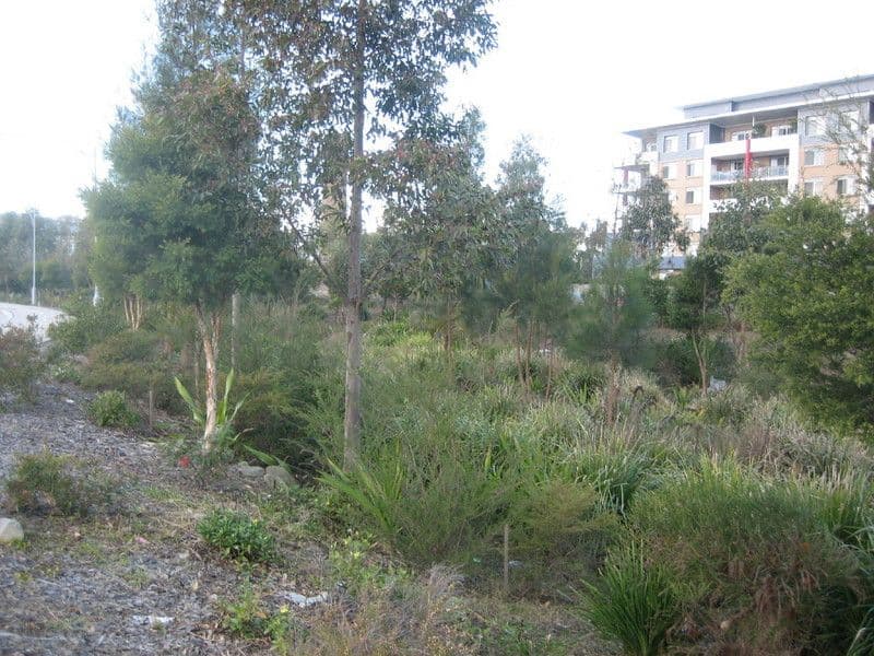 46/37 St Kevins Avenue, Benowa, QLD, 4217, Benowa - Thumbnail 5