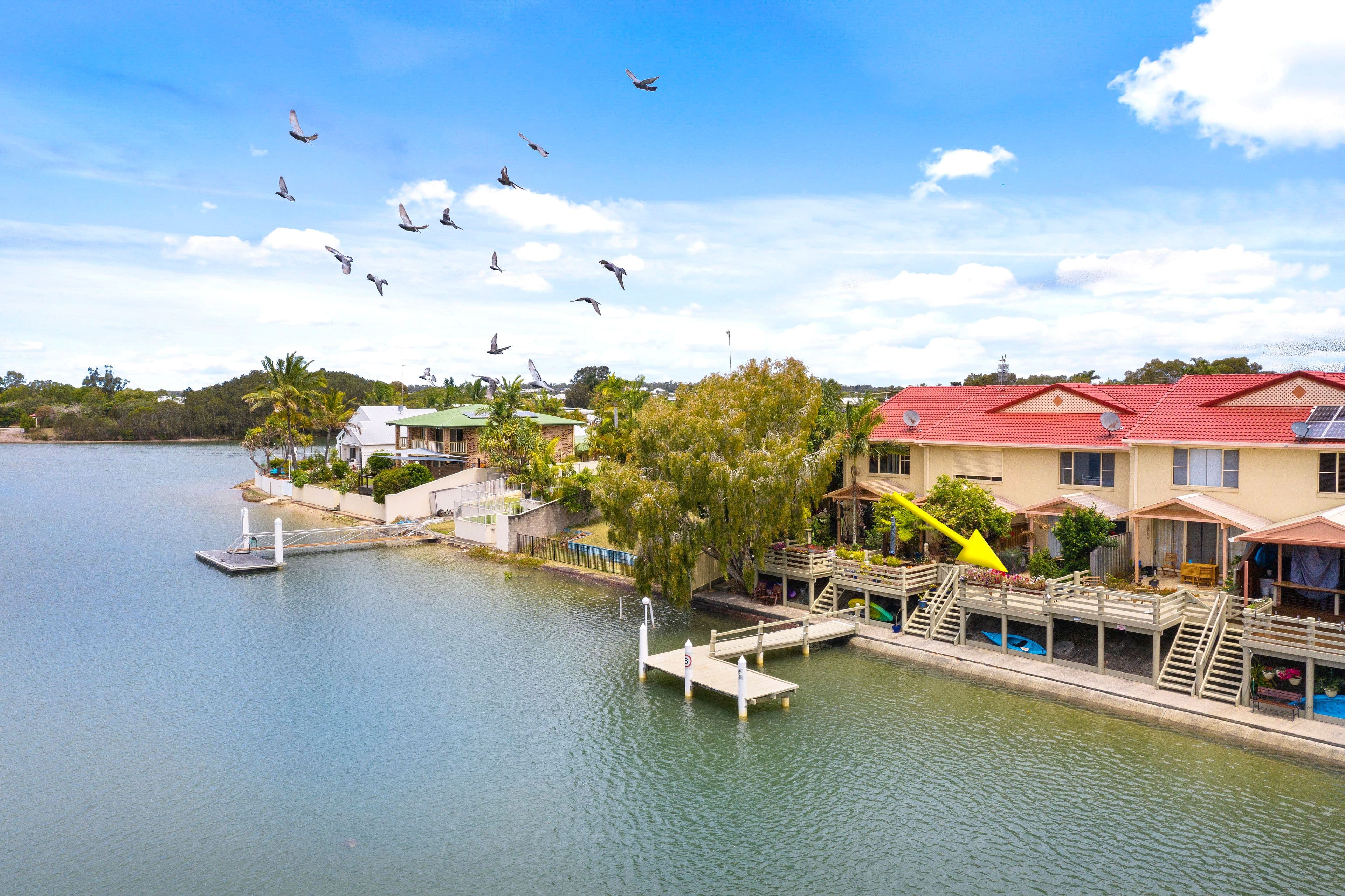 3 Urambi Court, Mountain Creek QLD 4557, Mountain Creek - Thumbnail 2
