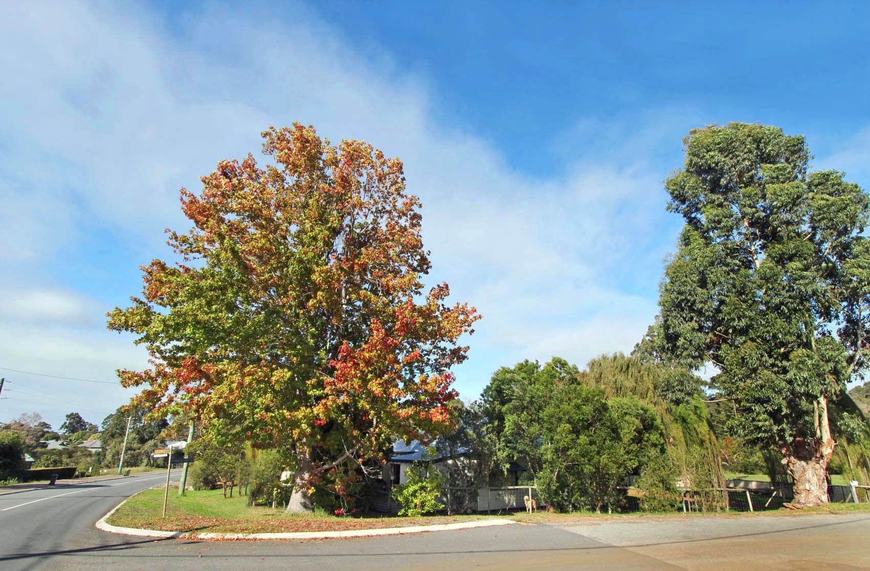 1 Bolton Close, Denmark WA 6333, Denmark - Image 1