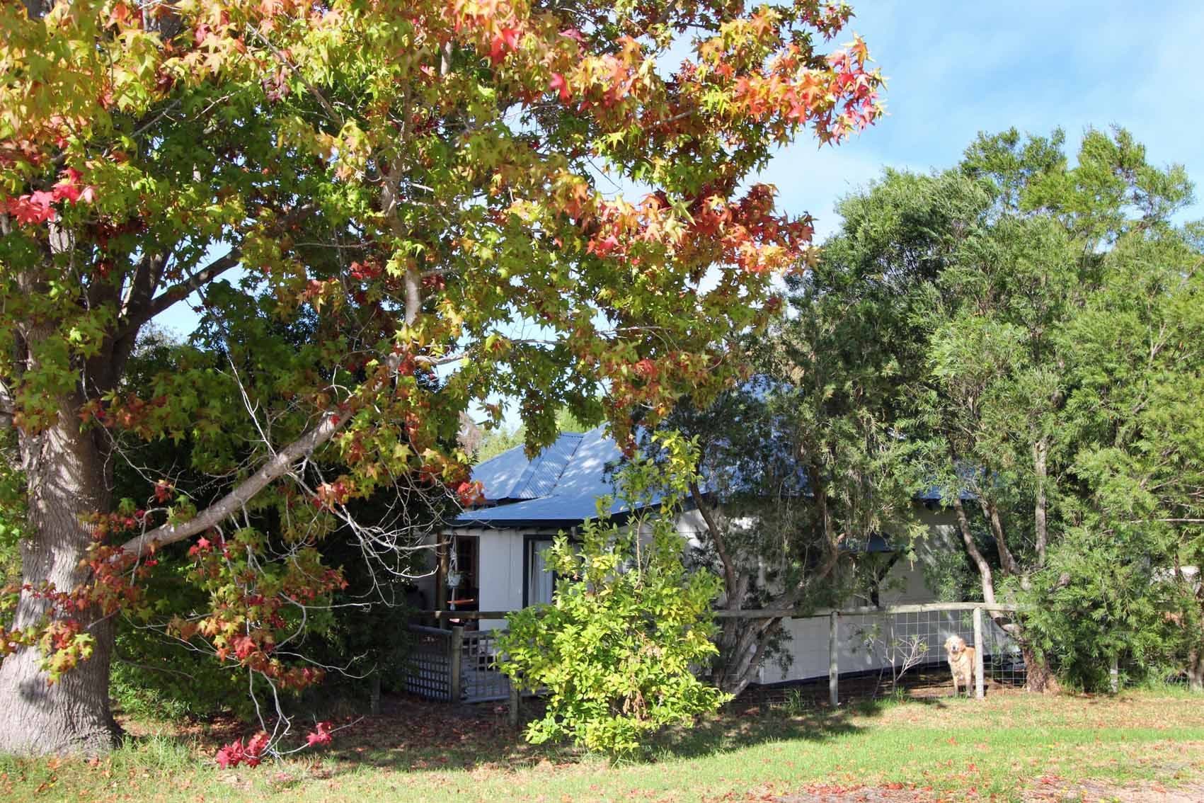 1 Bolton Close, Denmark WA 6333, Denmark - Thumbnail 2