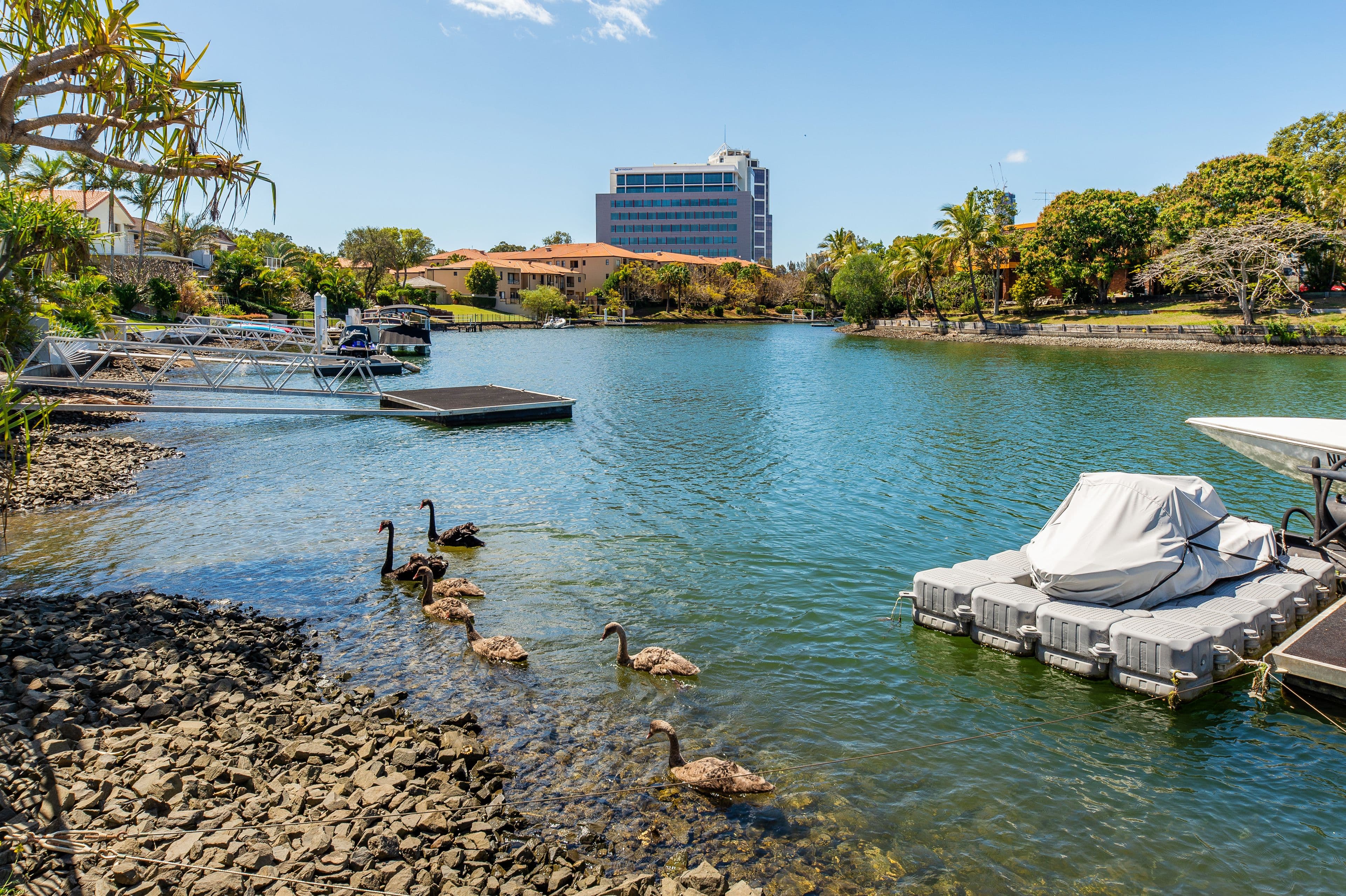 17 Eloura Circuit, Taylors Hill - Thumbnail 3