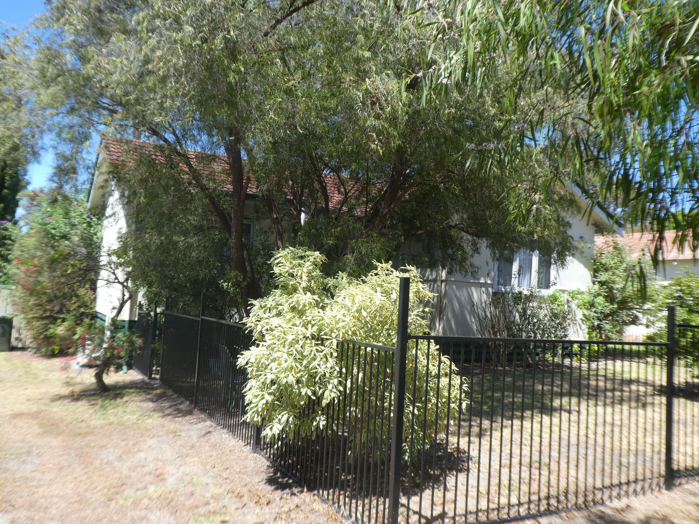 48 Ormond Road, Mount Barker WA 6324, Mount Barker - Image 1