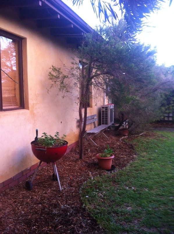 158 Passat Lane, WEST END WA 6530, West End - Thumbnail 5