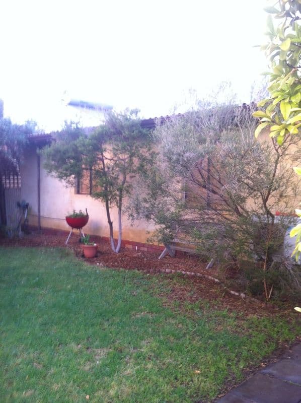 158 Passat Lane, WEST END WA 6530, West End - Thumbnail 8