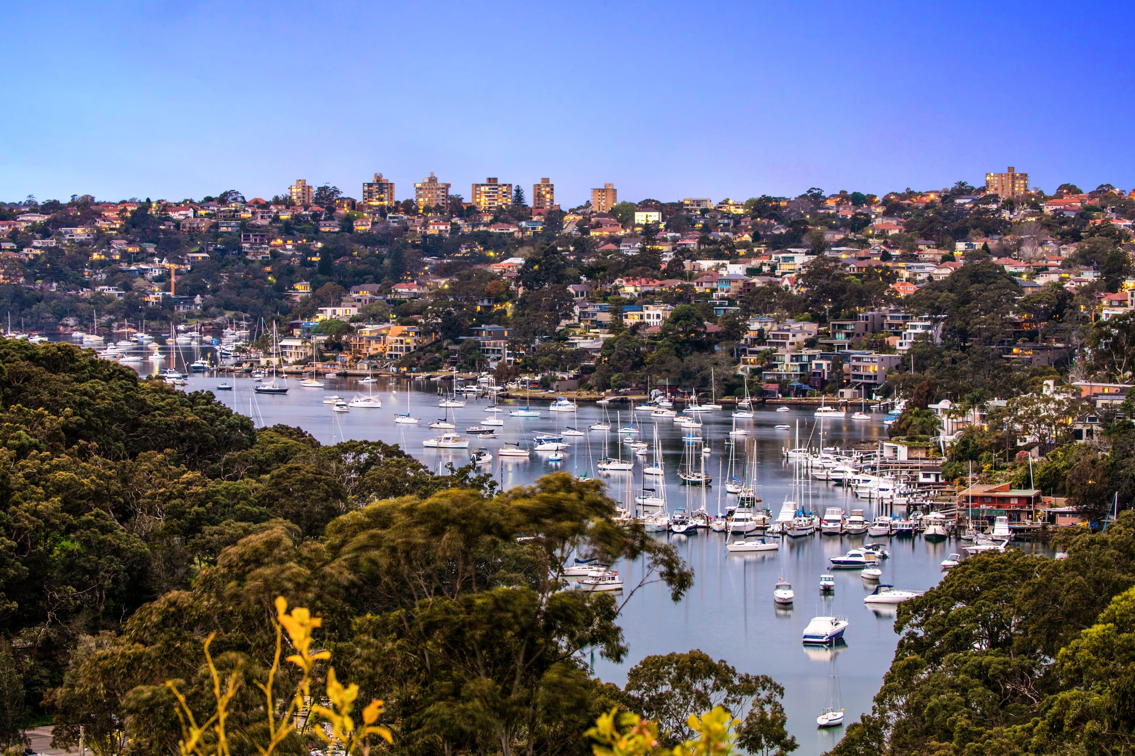 41 The Boulevarde, Cammeray - Thumbnail 2