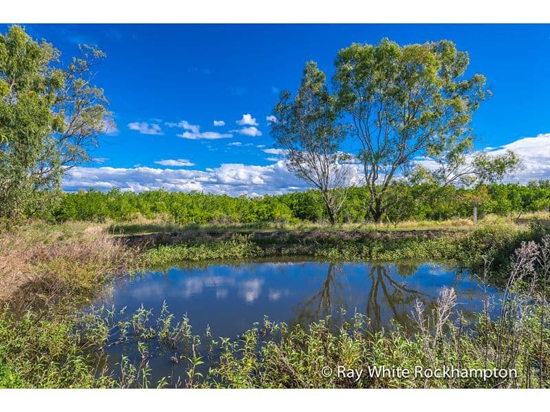 89 Emu Park Road, NERIMBERA QLD 4701, Nerimbera - Thumbnail 2