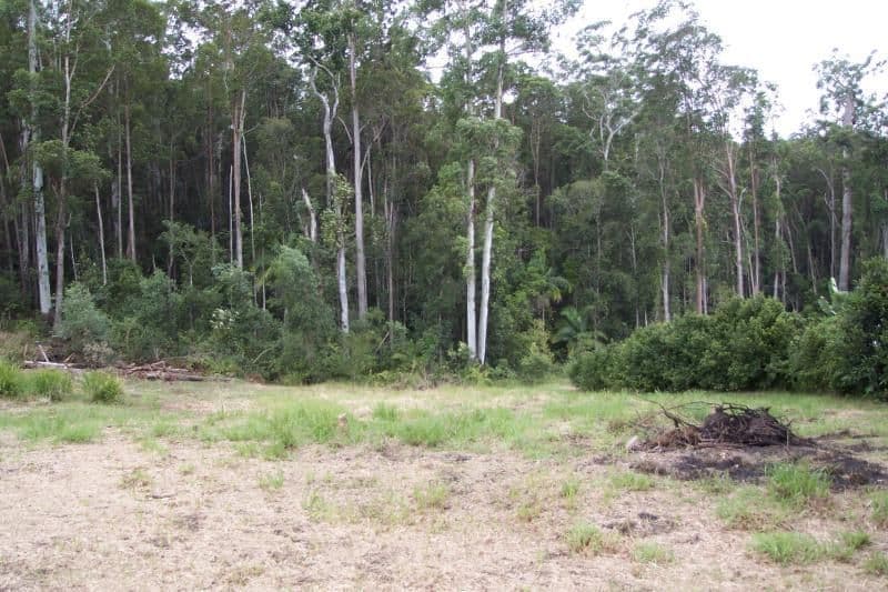 42 Whitewood Court, LAKE MACDONALD QLD 4563, Lake Macdonald - Thumbnail 4