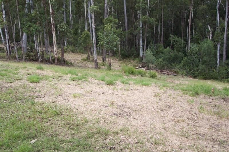 42 Whitewood Court, LAKE MACDONALD QLD 4563, Lake Macdonald - Thumbnail 5