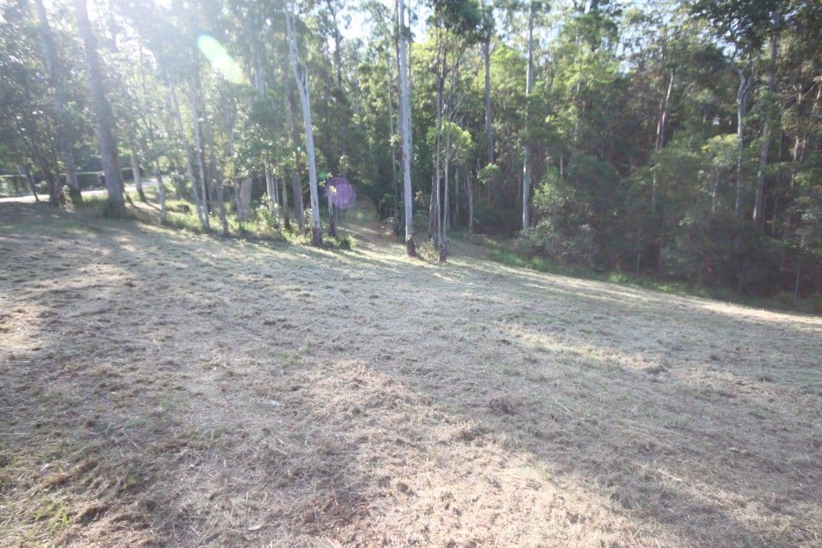 42 Whitewood Court, LAKE MACDONALD QLD 4563, Lake Macdonald - Thumbnail 6