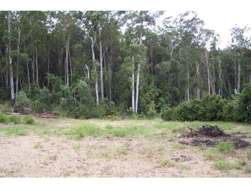 42 Whitewood Court, LAKE MACDONALD QLD 4563, Lake Macdonald - Thumbnail 7