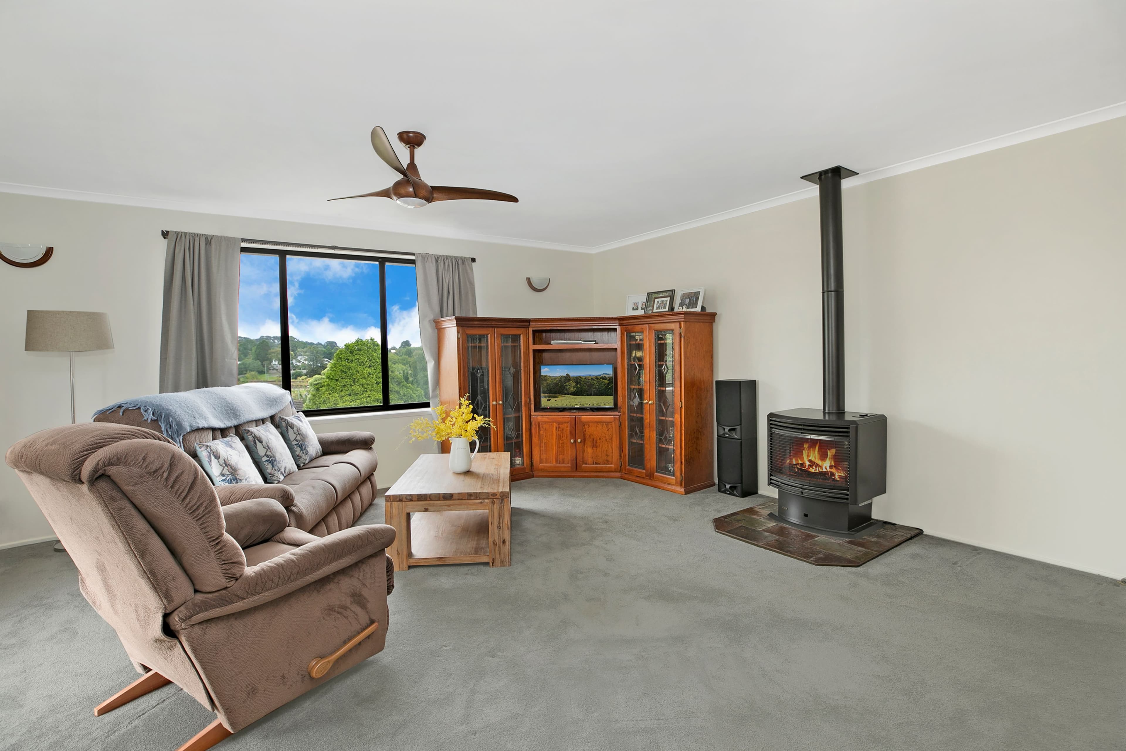 17 Chapman Street, Moss Vale NSW 2577, Moss Vale - Thumbnail 4