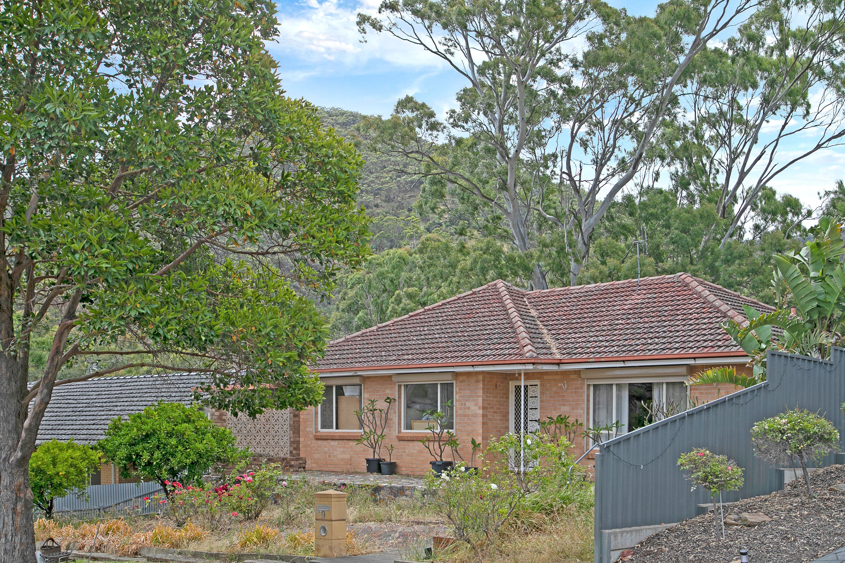 9 Meadowvue Road, Athelstone SA 5076, Athelstone - Thumbnail 6