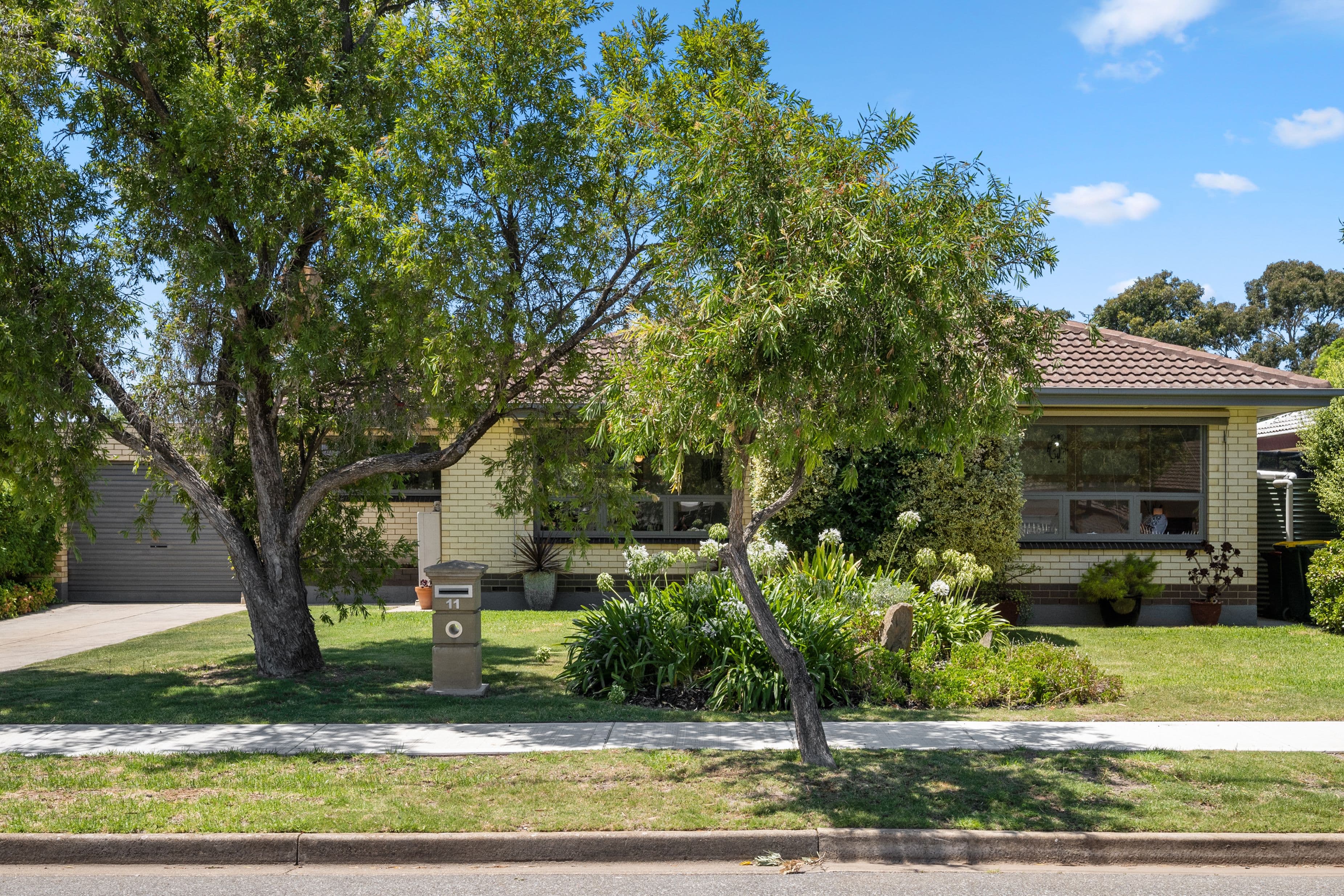11 Douglas Street, Marion SA 5043, Marion - Image 1