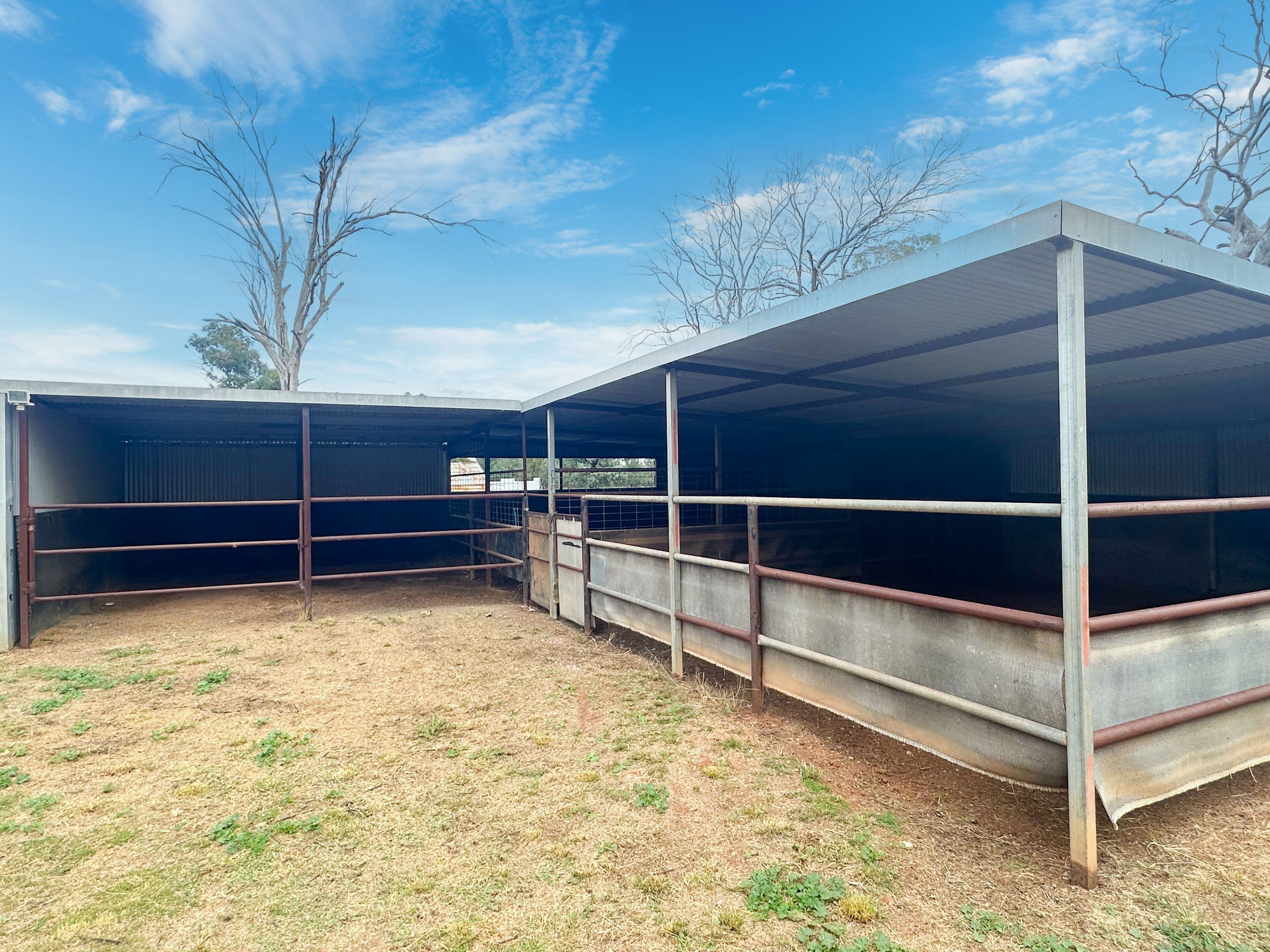 18 Long Street, Trundle NSW 2875, Trundle - Thumbnail 4